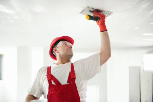 Best Drywall Removal and Disposal  in , MO