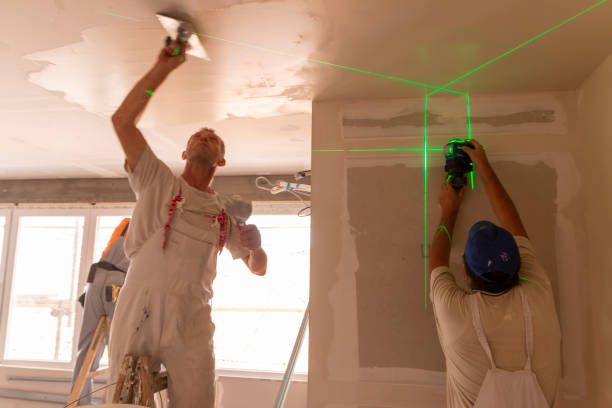 Best Ceiling Drywall Installation  in , MO